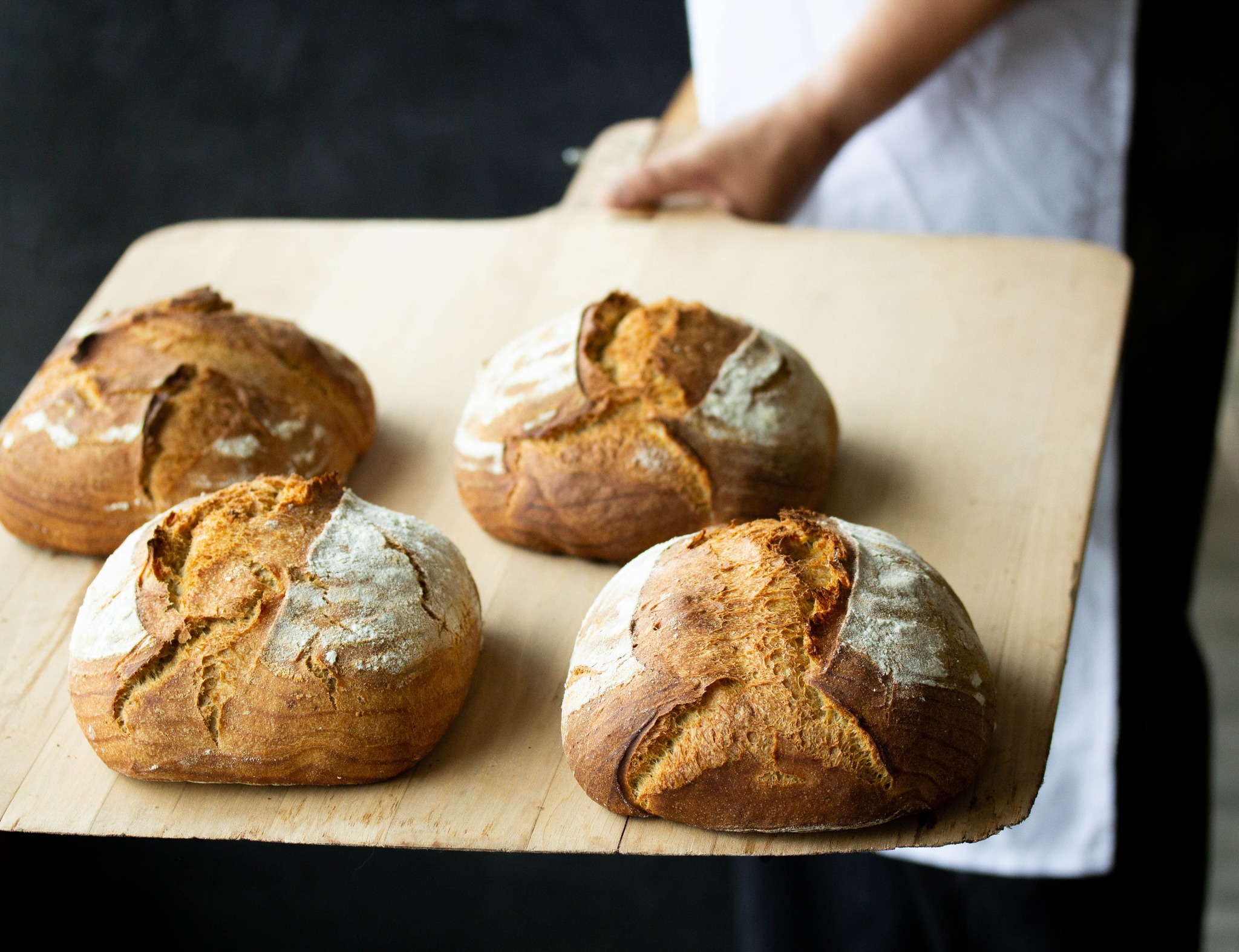 612135800_891006443440566_6430010334276774444_n