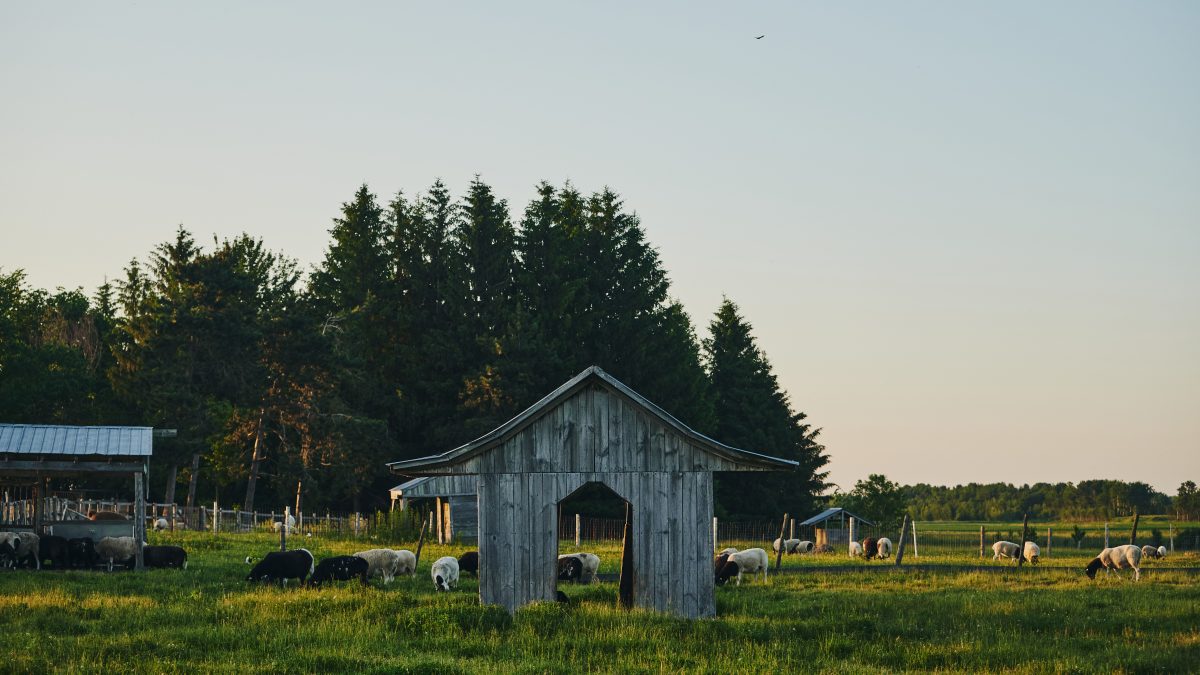 Ferme La Rabouillère