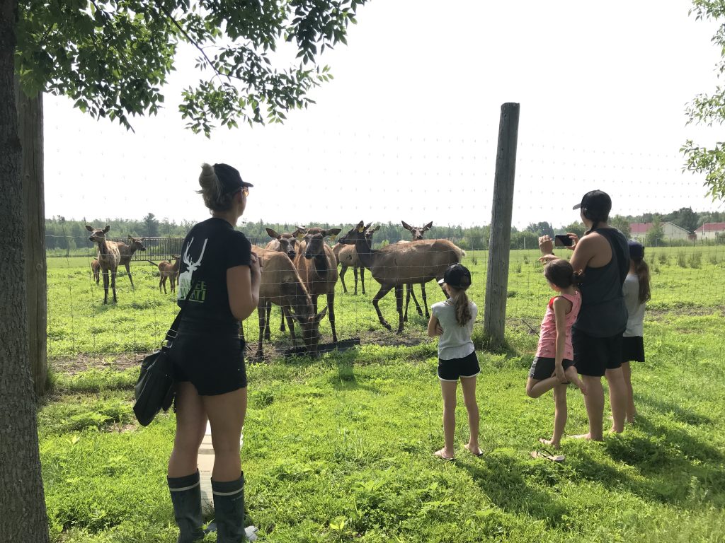 La Vallée du Wapiti