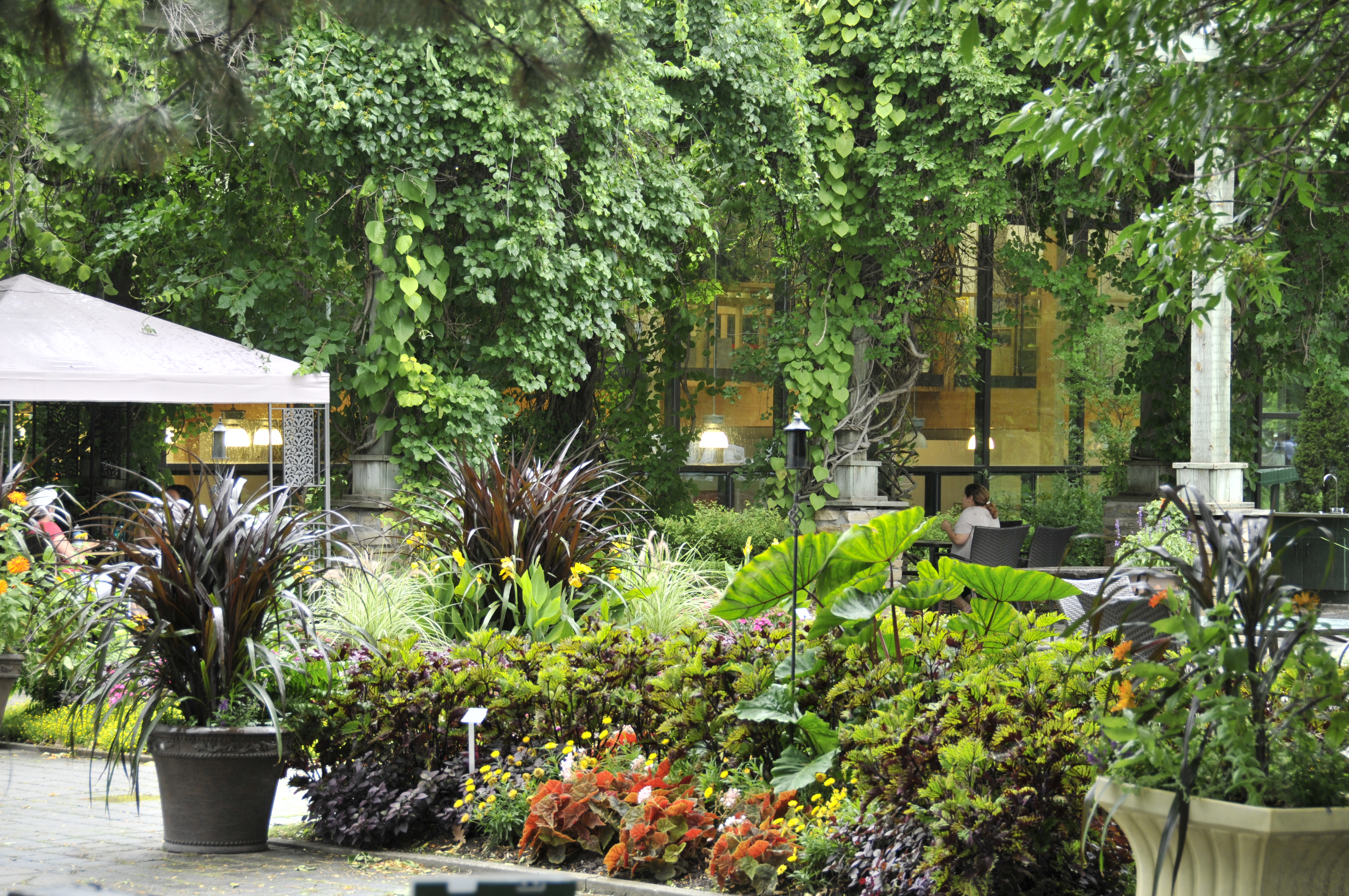 Terrasse_et_PHE