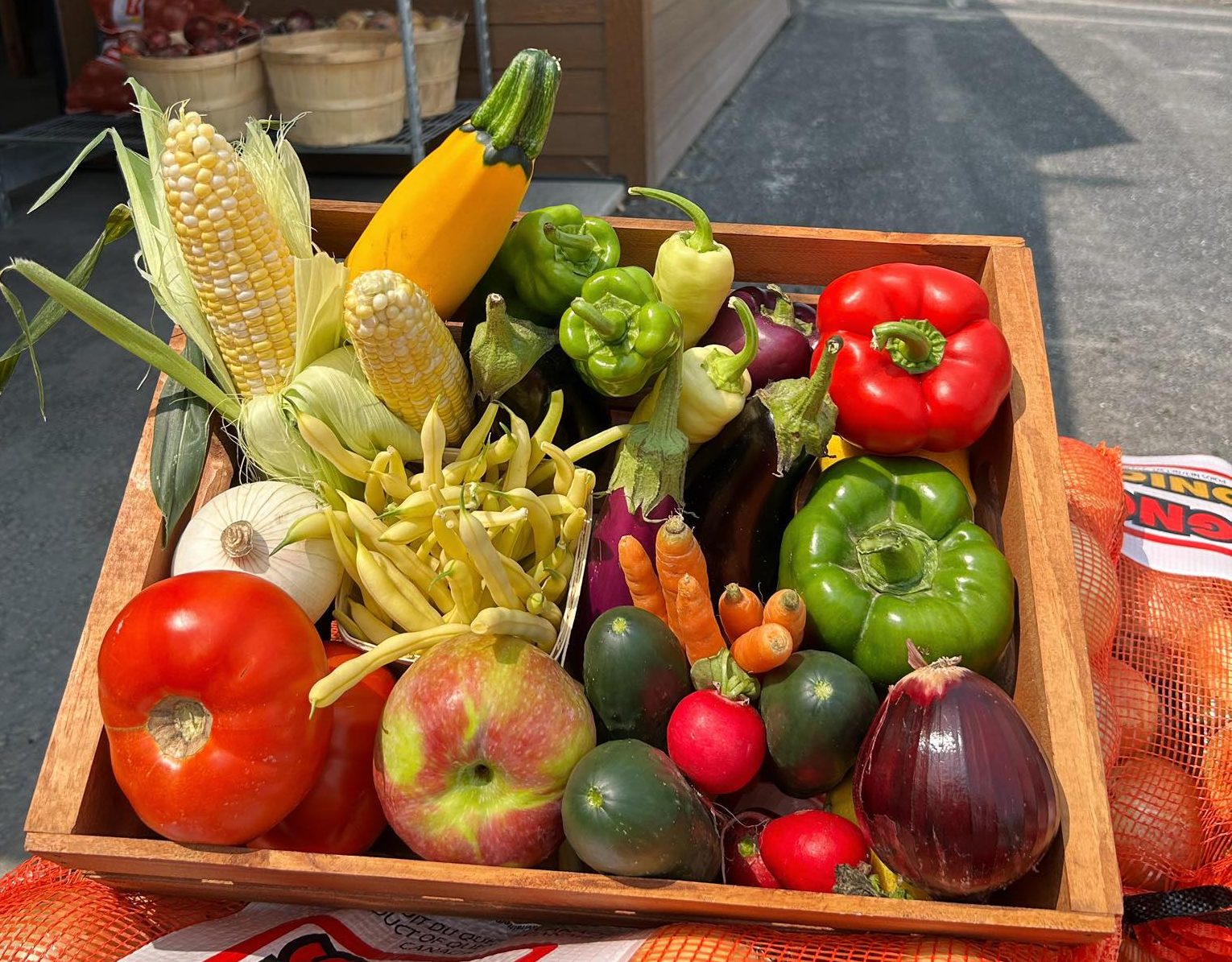 Processed with VSCO with kk1 preset