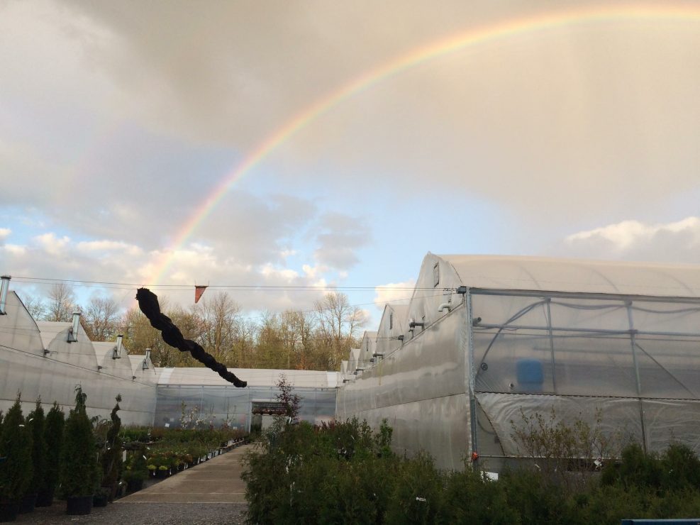 Les Serres de l'Éden, Tourisme Saint-Hyacinthe, chez le producteur